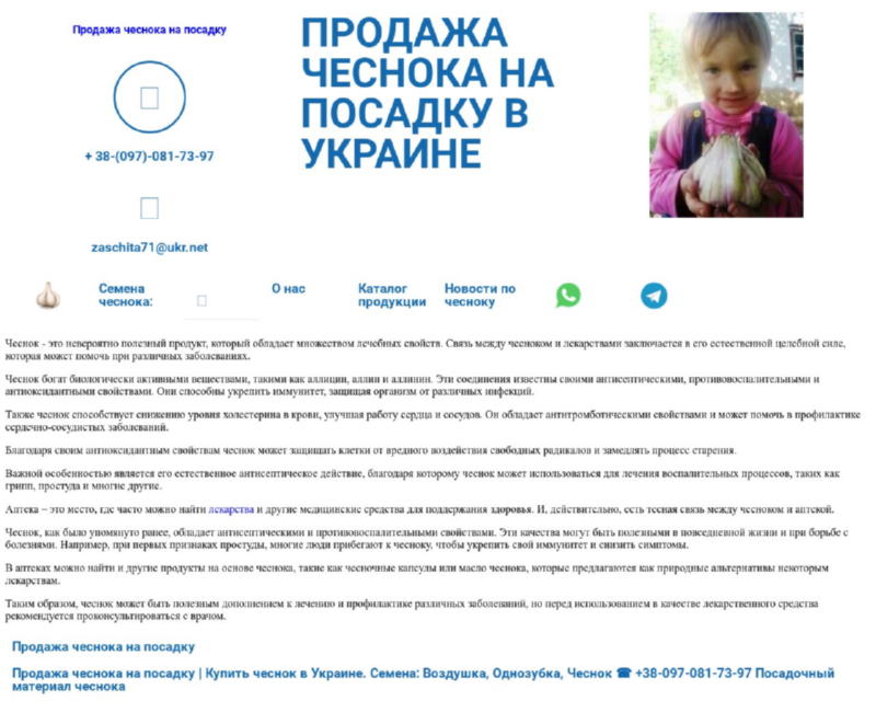 Изображение скриншота сайта - Продажа чеснока в Украине оптом и в розницу. Семена чеснока